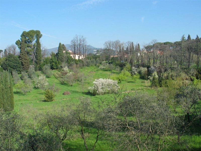 Villa Ulivi Florence Ngoại thất bức ảnh